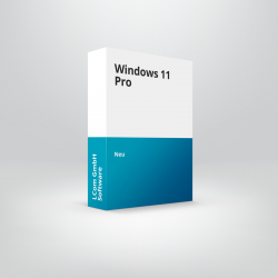 MS Windows 11 Pro
