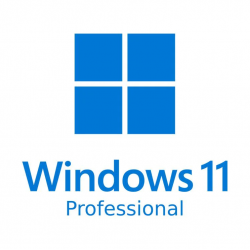 MS Windows 11 Pro ESD